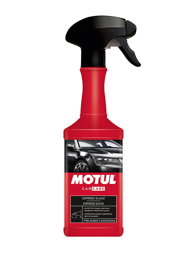 Motul Reinigungsset
